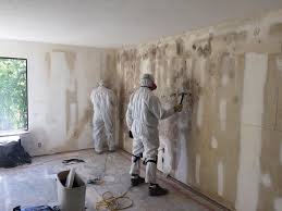 Mold Remediation for Vacation Homes in Cliffside Park, NJ